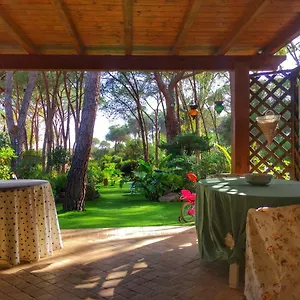 https://stella-24.in-sardinia.net
